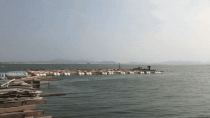 5fdacb104c2692330.gif_e680.jpg
