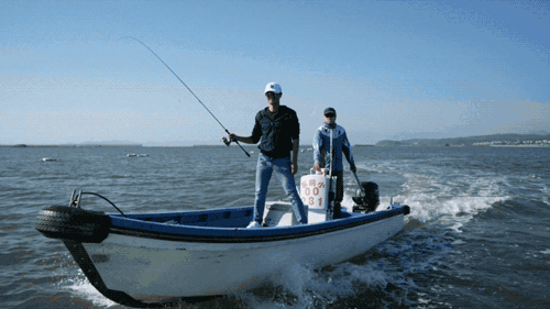 5fdacb11c93d45390.gif_e680.jpg