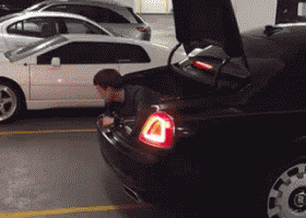 529197c5d587423e8cb125e0298d9580.gif