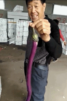 26f1c98e2e6d4cde983934352d2f3535.gif