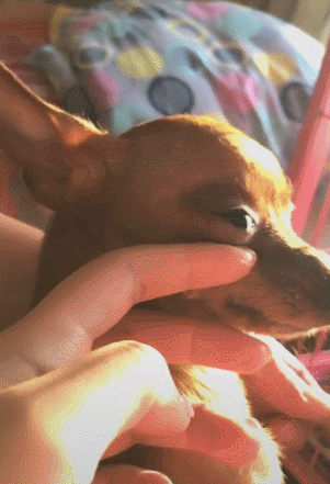 e36857f257294a7bb4be8c85b7fba0eb.gif