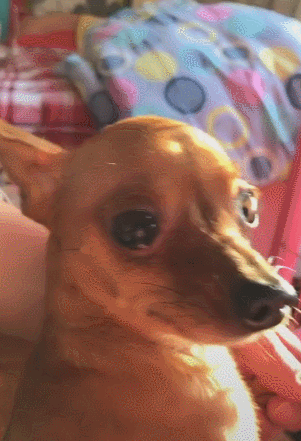 de61ca8ed701429eb55e99afdac52554.gif