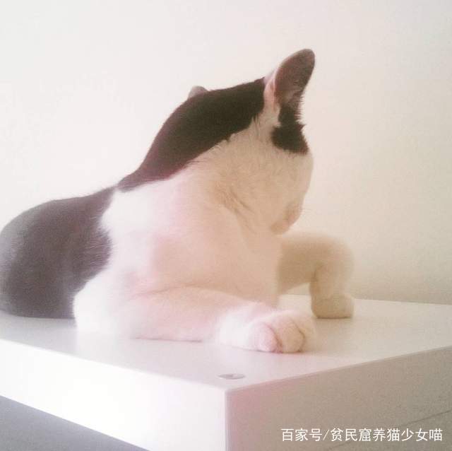 02d44b1417344957ac30ccd9954f3f0a.jpeg