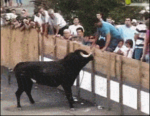 13d1166e1c1e48f2bcb9ba73769fc72a.gif