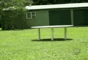 141e798d05354cdd9b3564bd3cb43e85.gif