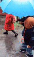 6984cfc8c2d04778a6bd13e31d04bc6e.gif