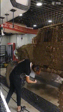 1ad9b985e1c34ed9974ff13f6f235da5.gif
