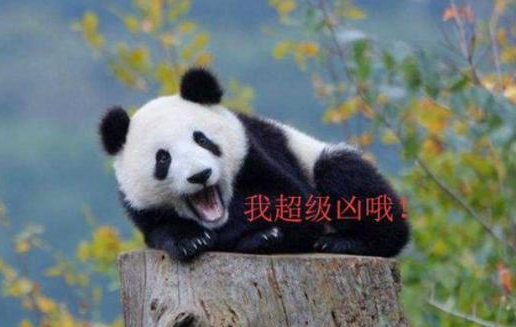 a80d48919e12442dacaca2db61fc25d3.png