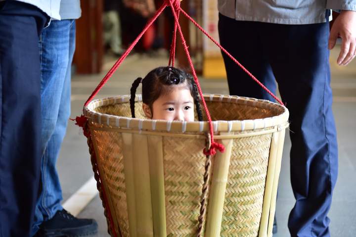 1620169735929_6091d407159bb83d2ca5254a.jpeg