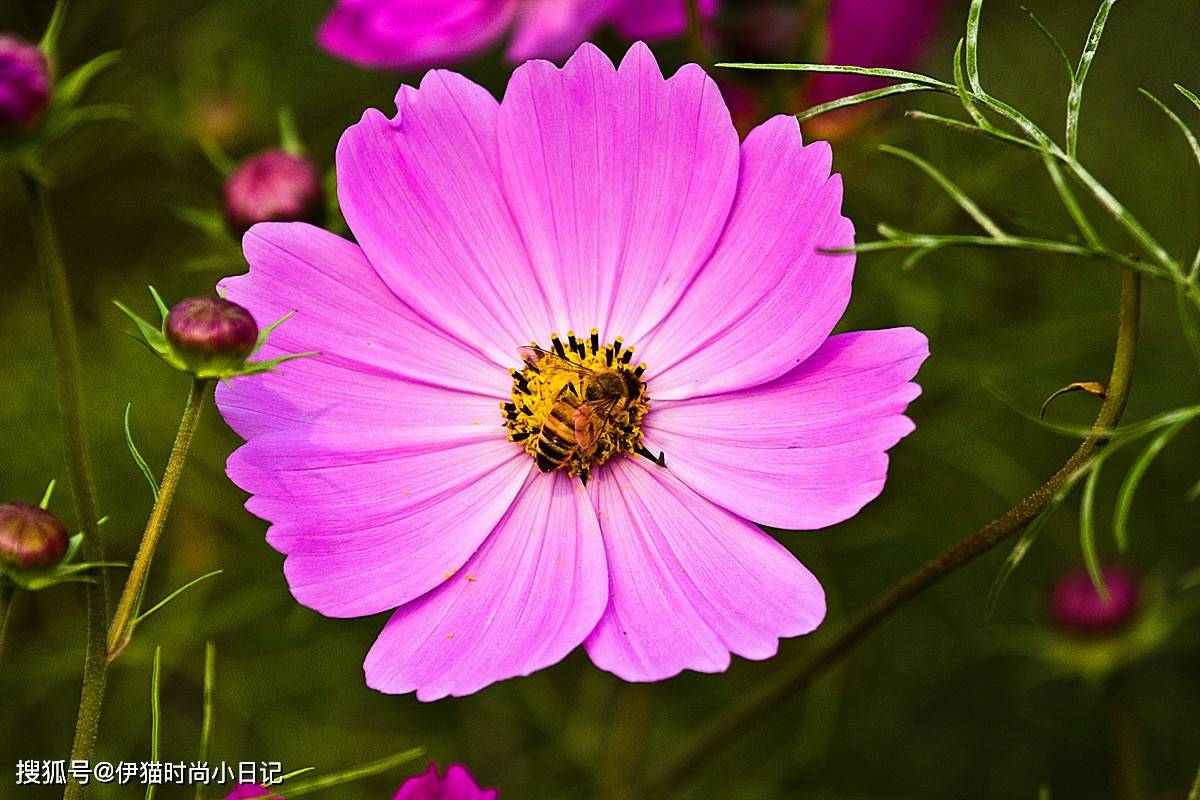 583b25ed41994ab0825ef8761ee96f02.jpeg
