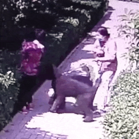 977505bc275a495da23eaea479efe4e7.gif