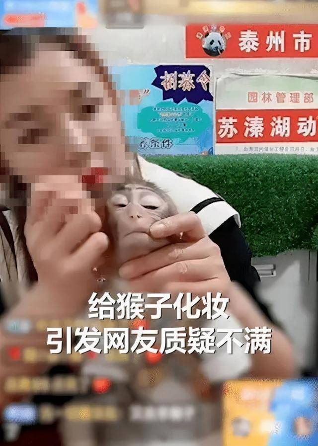 9bd745f9d33e4aeda3119878d238a095.jpeg
