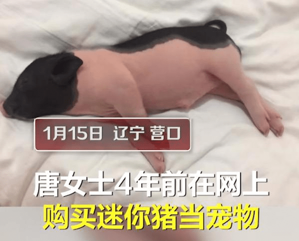 34d7ce49a3894252bde98480eddb468a.png