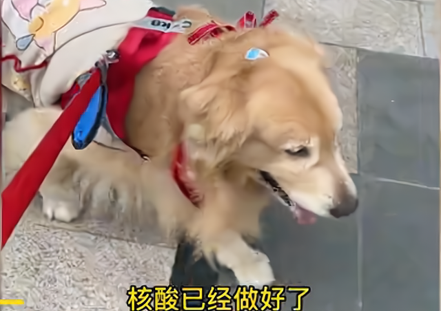 b151f8198618367a73ab73601d4073ddb31ce52e.png