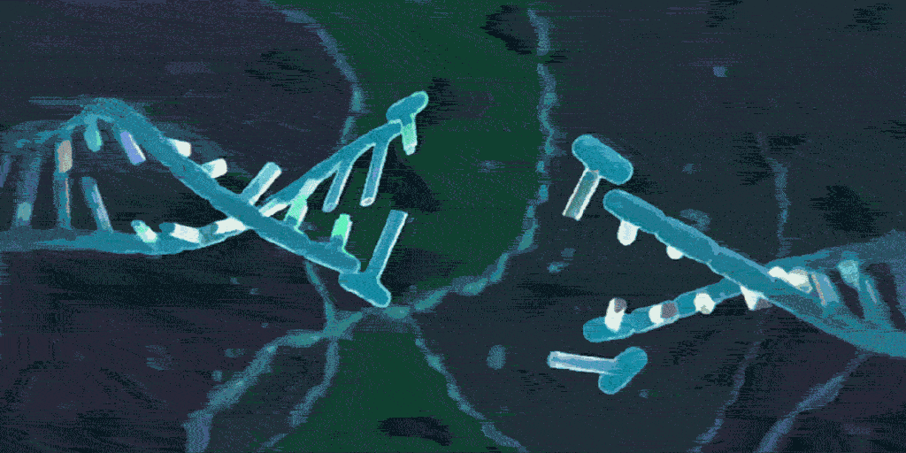c6b2a830515341038cf2be66a2885ddf.gif