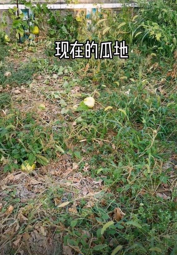 12628f4bc2cf411dbab52d3893aad6a9.jpeg