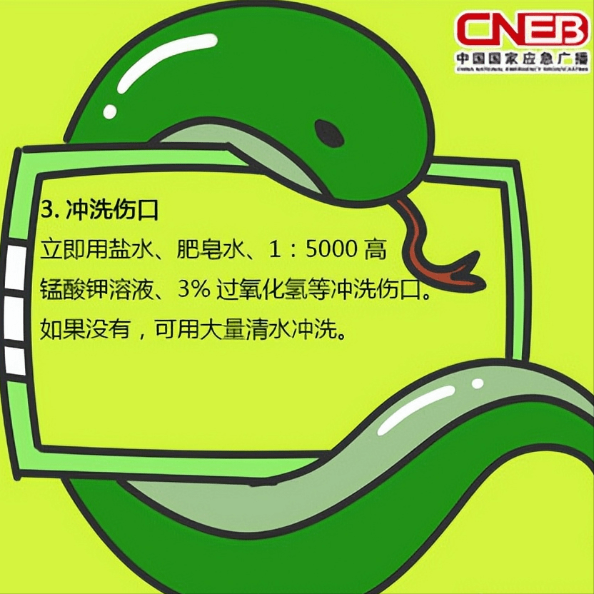 11fae0ad31b949928caeb702a5497a9c.png