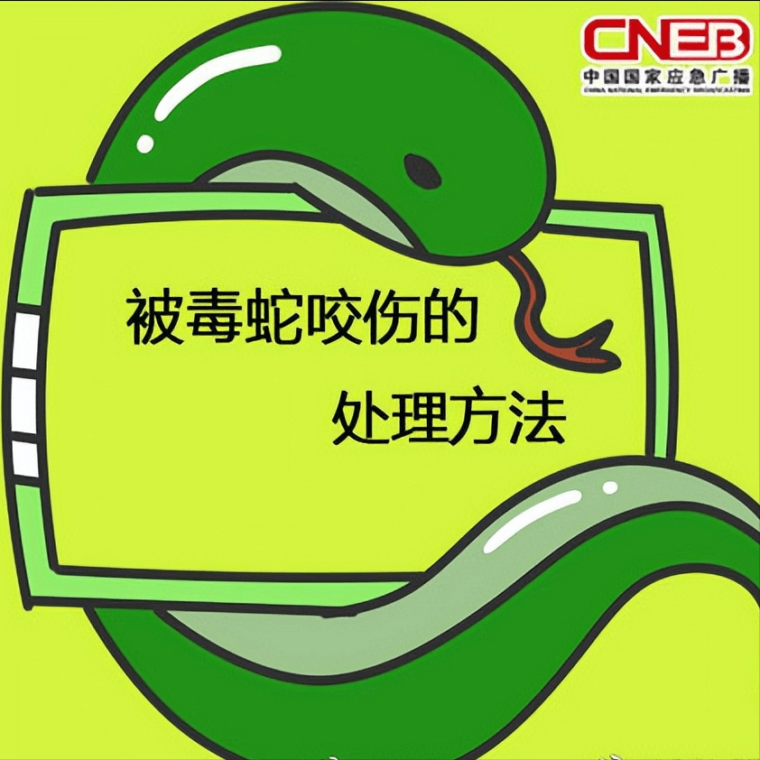 3bef91f0d941443bbf0659f34d320fdd.png