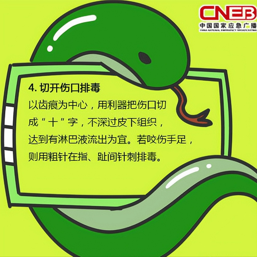 a53036baaddf4f6c9b28a9d9af4b1508.png