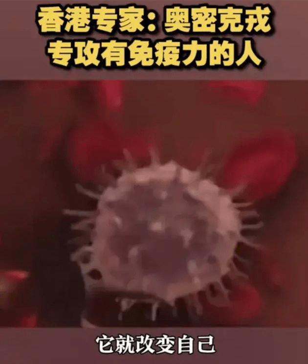 772e3baf829e4337a7ffa27001dc3053.png