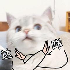 9d82d158ccbf6c81af84fb6a22204a3f32fa40ae.jpg