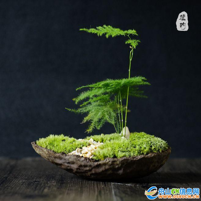 b21bb051f8198618e15c91799ddc3d7a8ad4e6eb.jpg